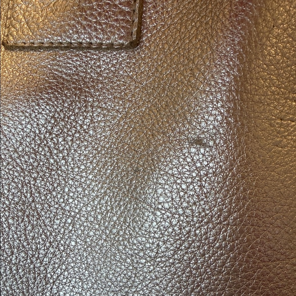 Metallic Pearl Shoulder Hobo with Tan Strap - Picture 13 of 16